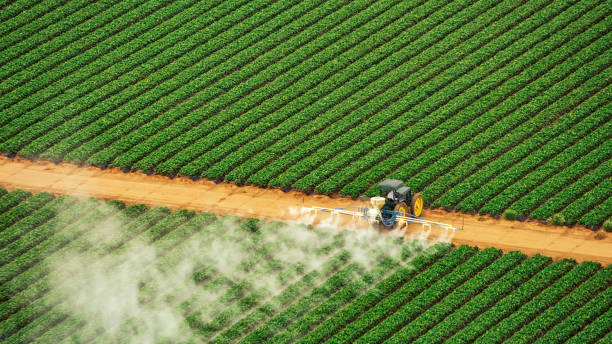 Reliable Tuscaloosa, AL Pest Control Solutions