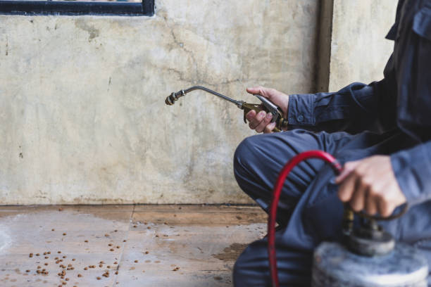 Best Wasp Removal Services  in Tuscoosa, AL